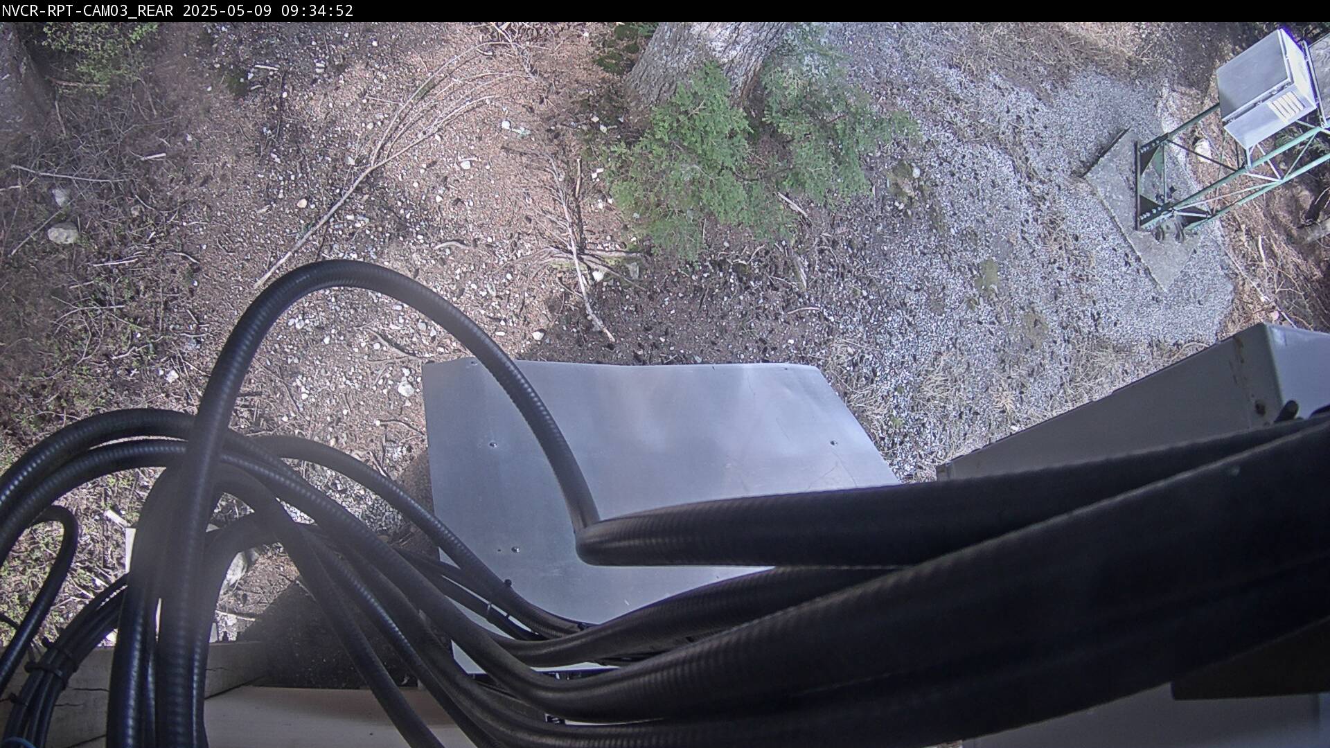 Web Cam History Image - 3