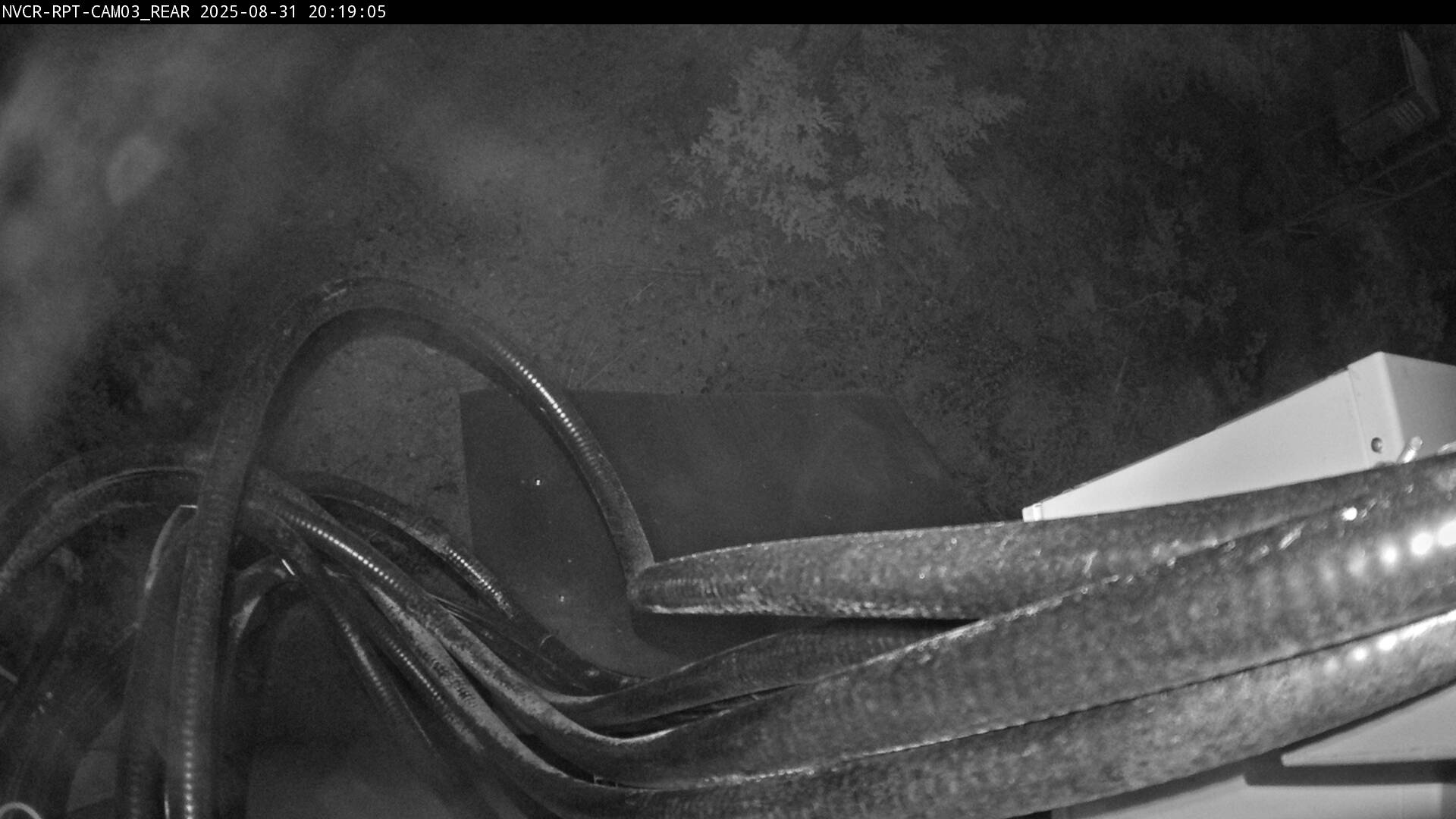 Web Cam History Image - 3
