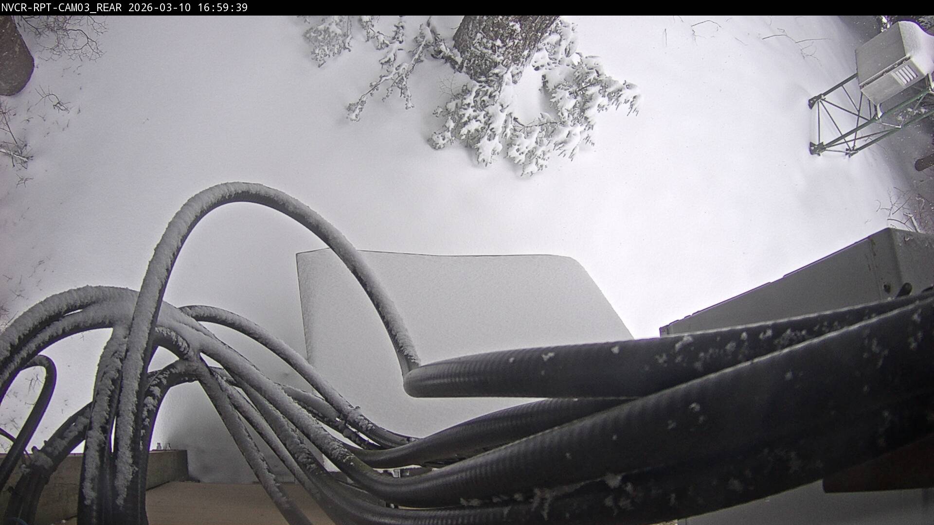 Web Cam History Image - 21