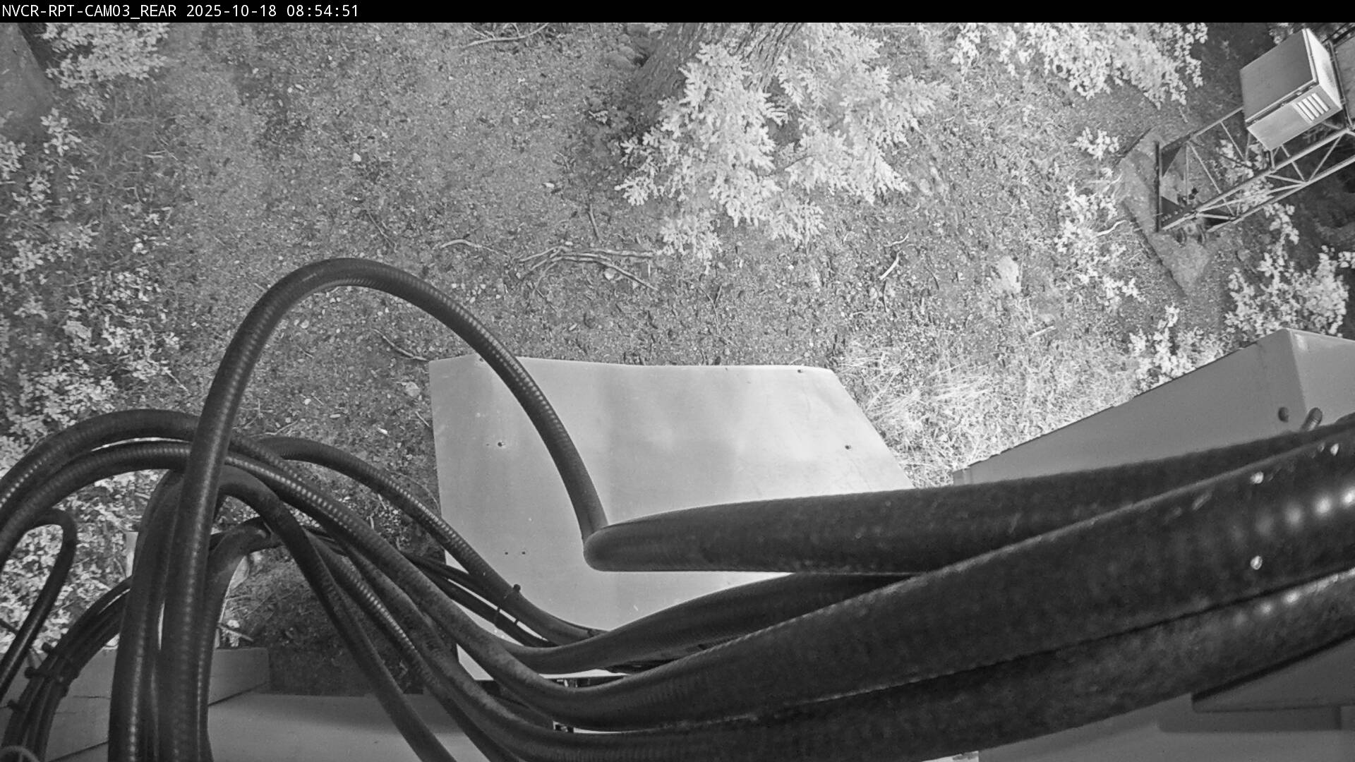 Web Cam History Image - 201