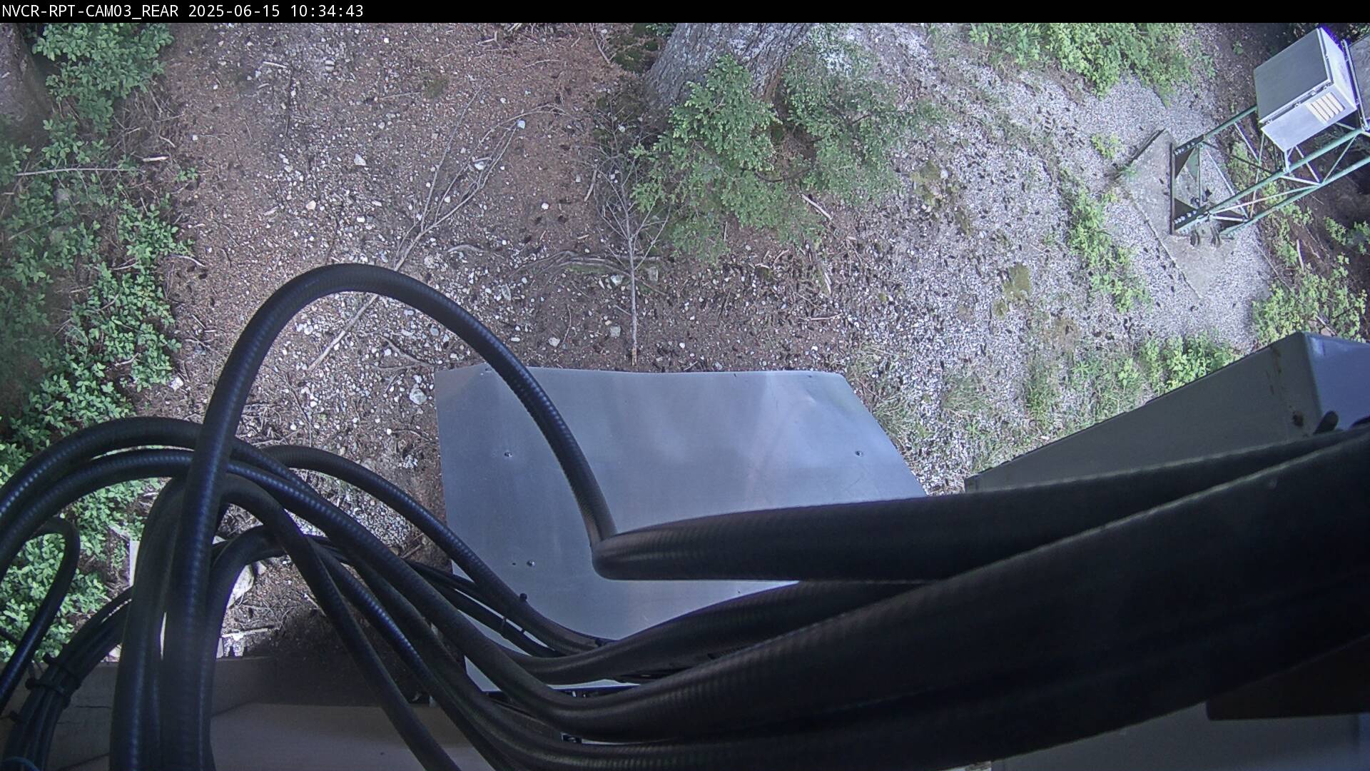Web Cam History Image - 202