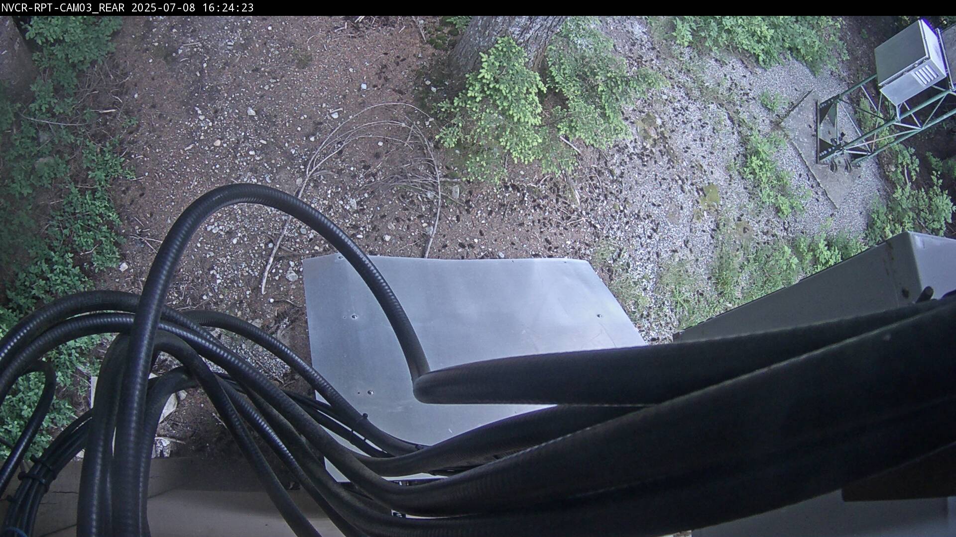 Web Cam History Image - 202