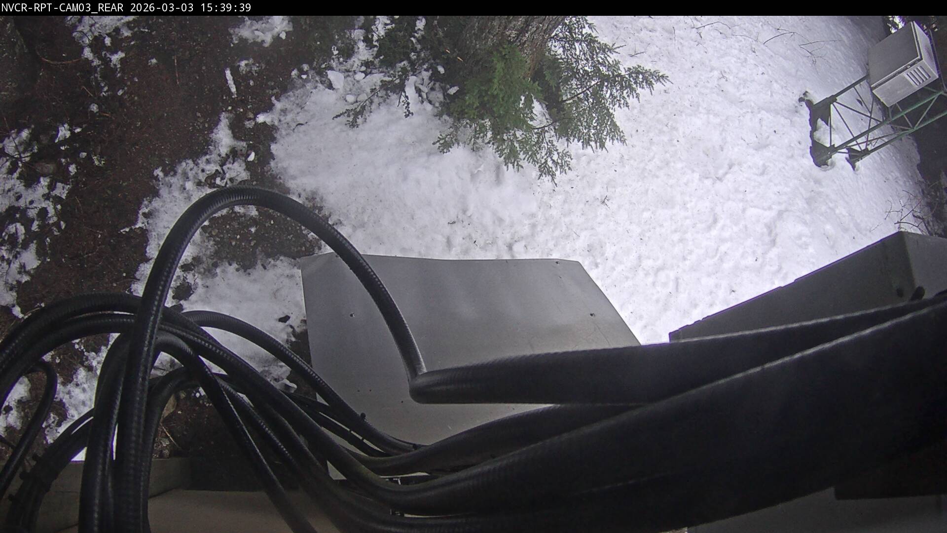 Web Cam History Image - 202