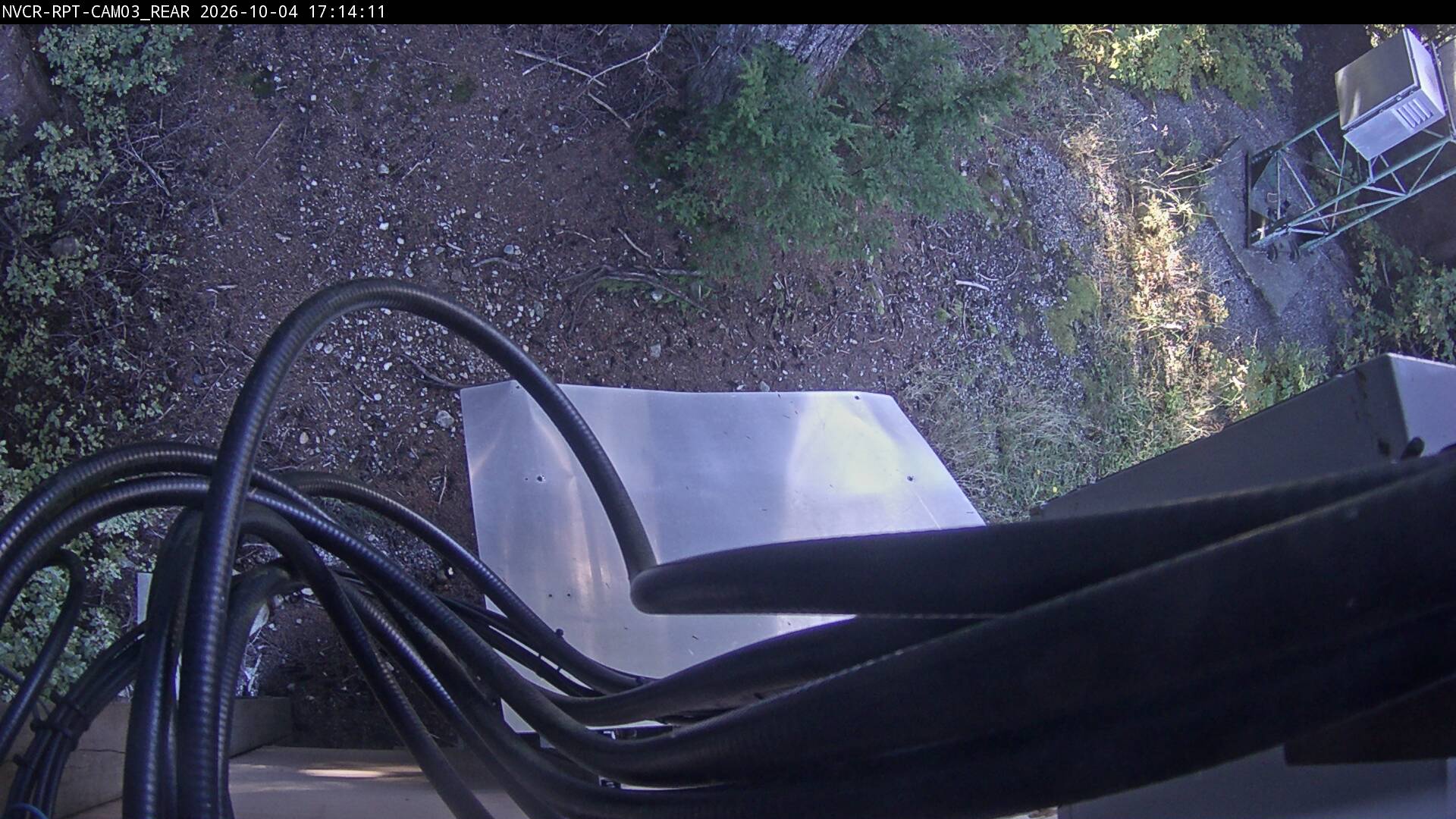 Web Cam History Image - 202