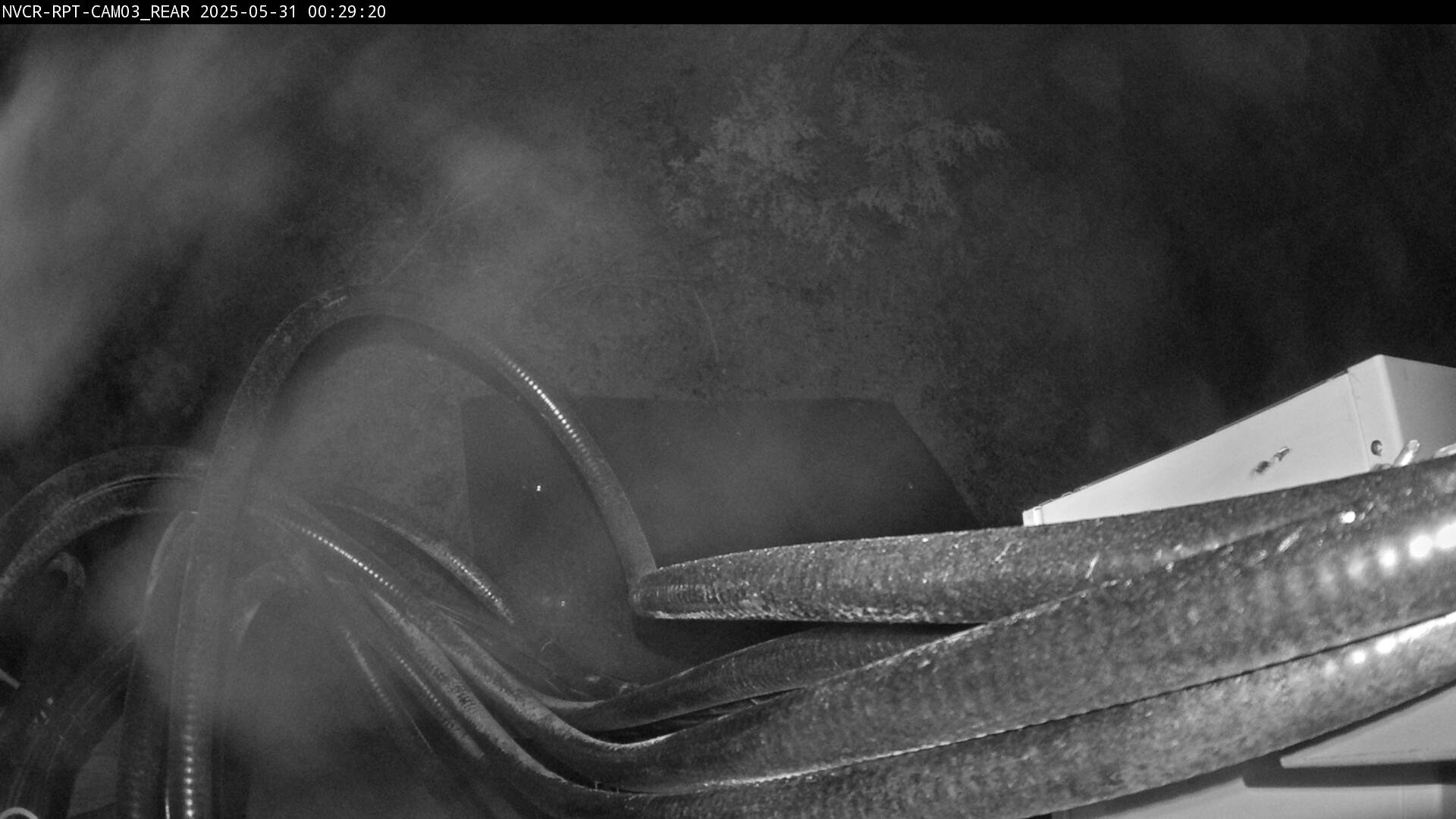 Web Cam History Image - 203