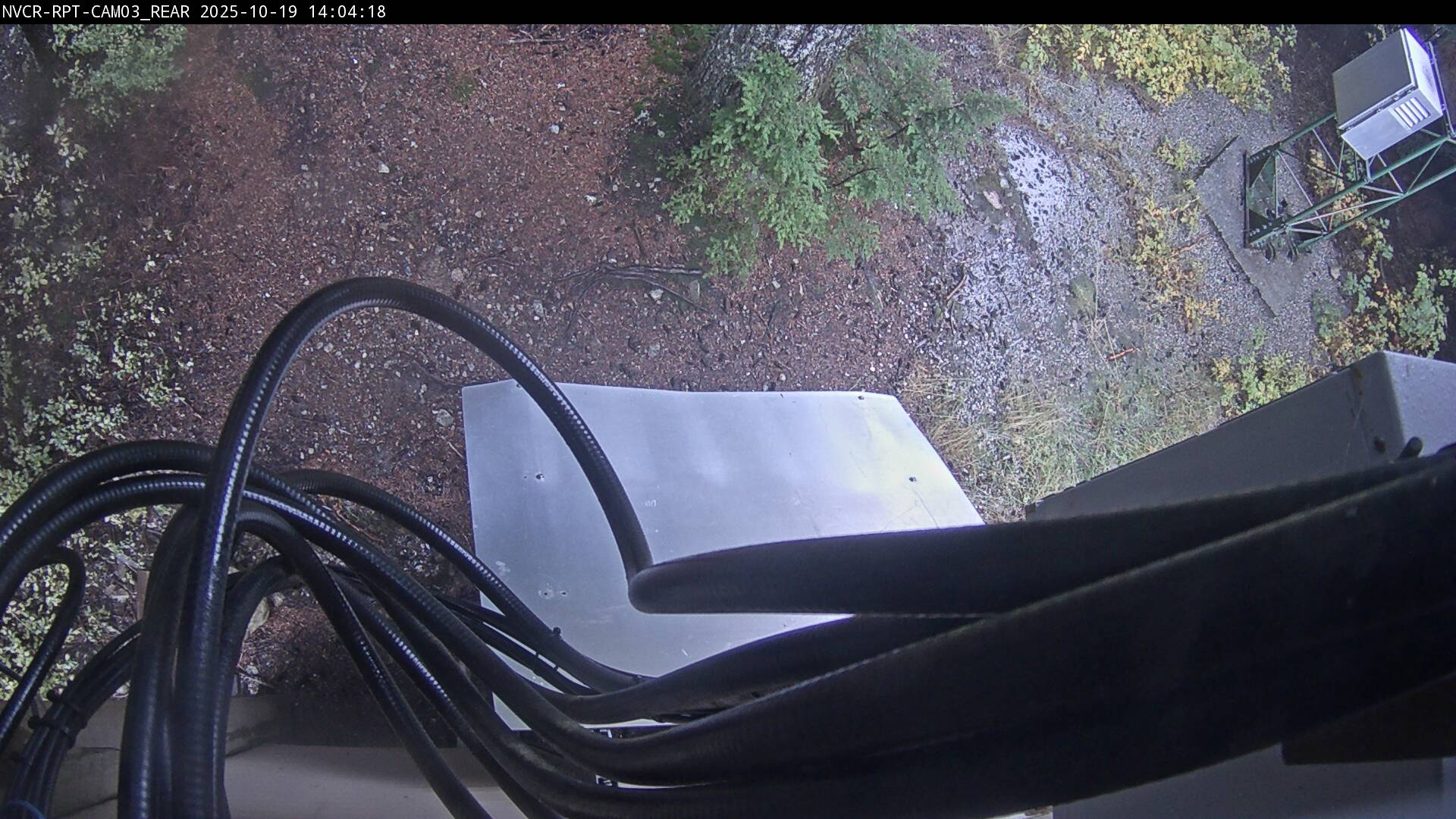 Web Cam History Image - 203