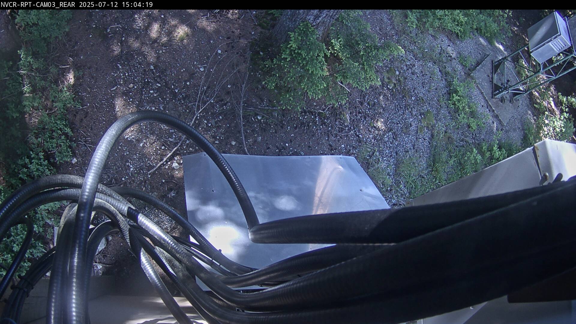 Web Cam History Image - 204