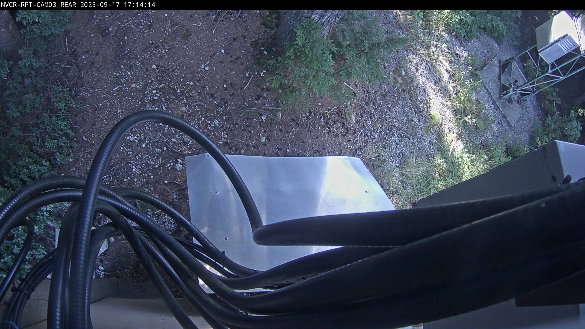 Web Cam History Image - 204