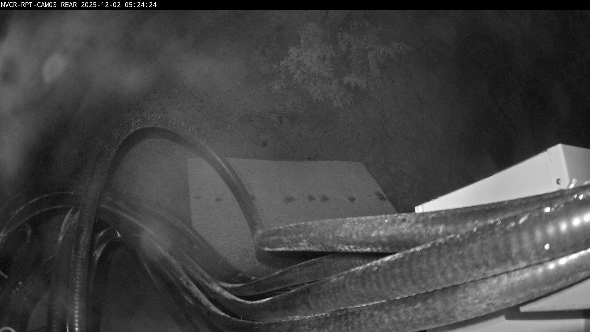 Web Cam History Image - 205