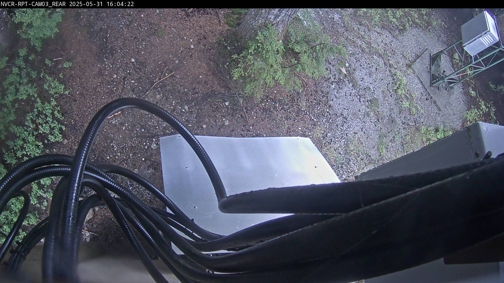 Web Cam History Image - 206