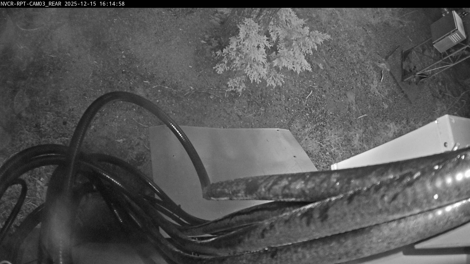 Web Cam History Image - 206