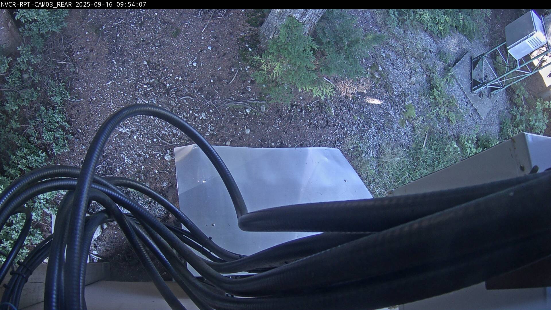 Web Cam History Image - 207