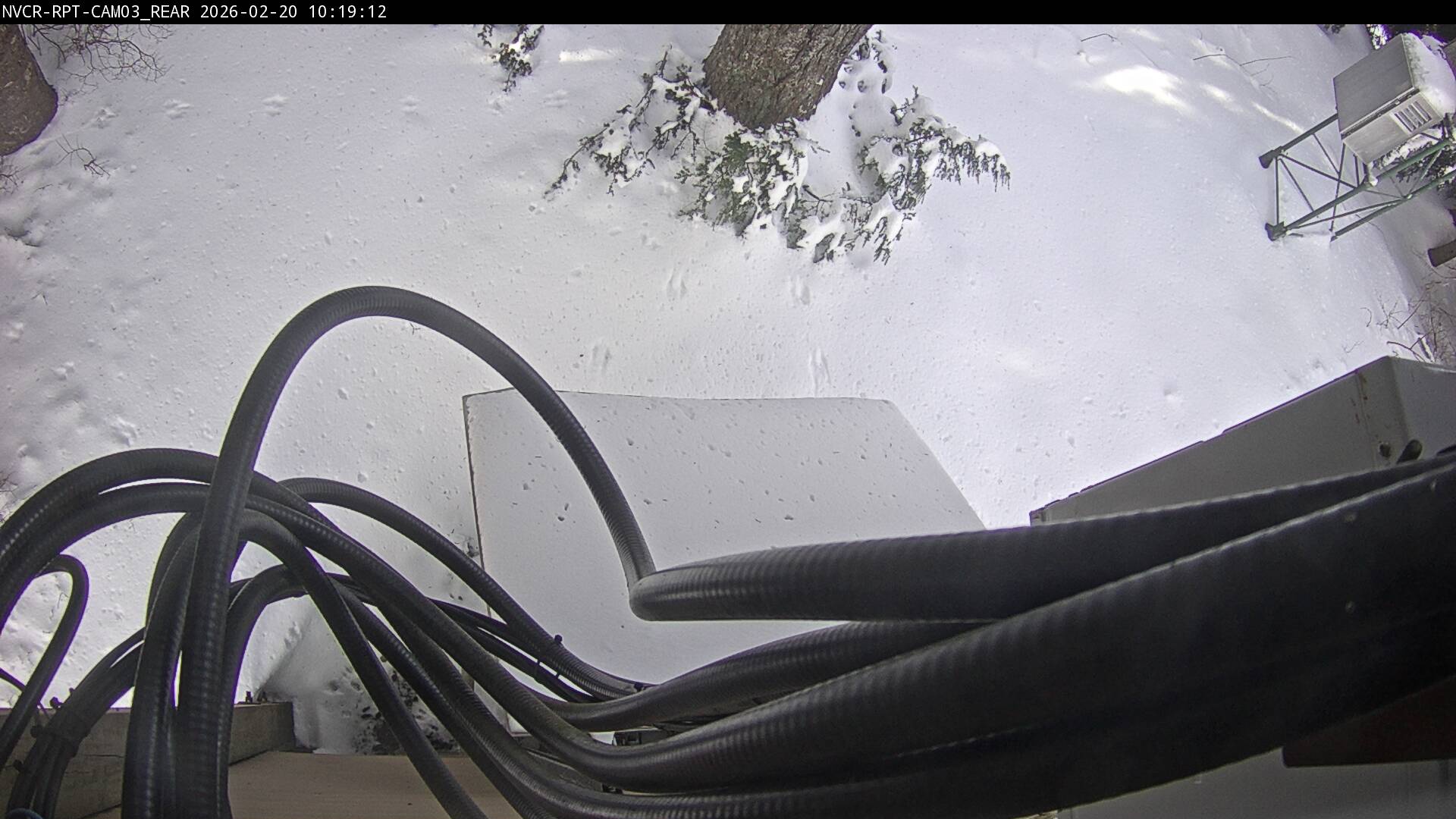 Web Cam History Image - 207