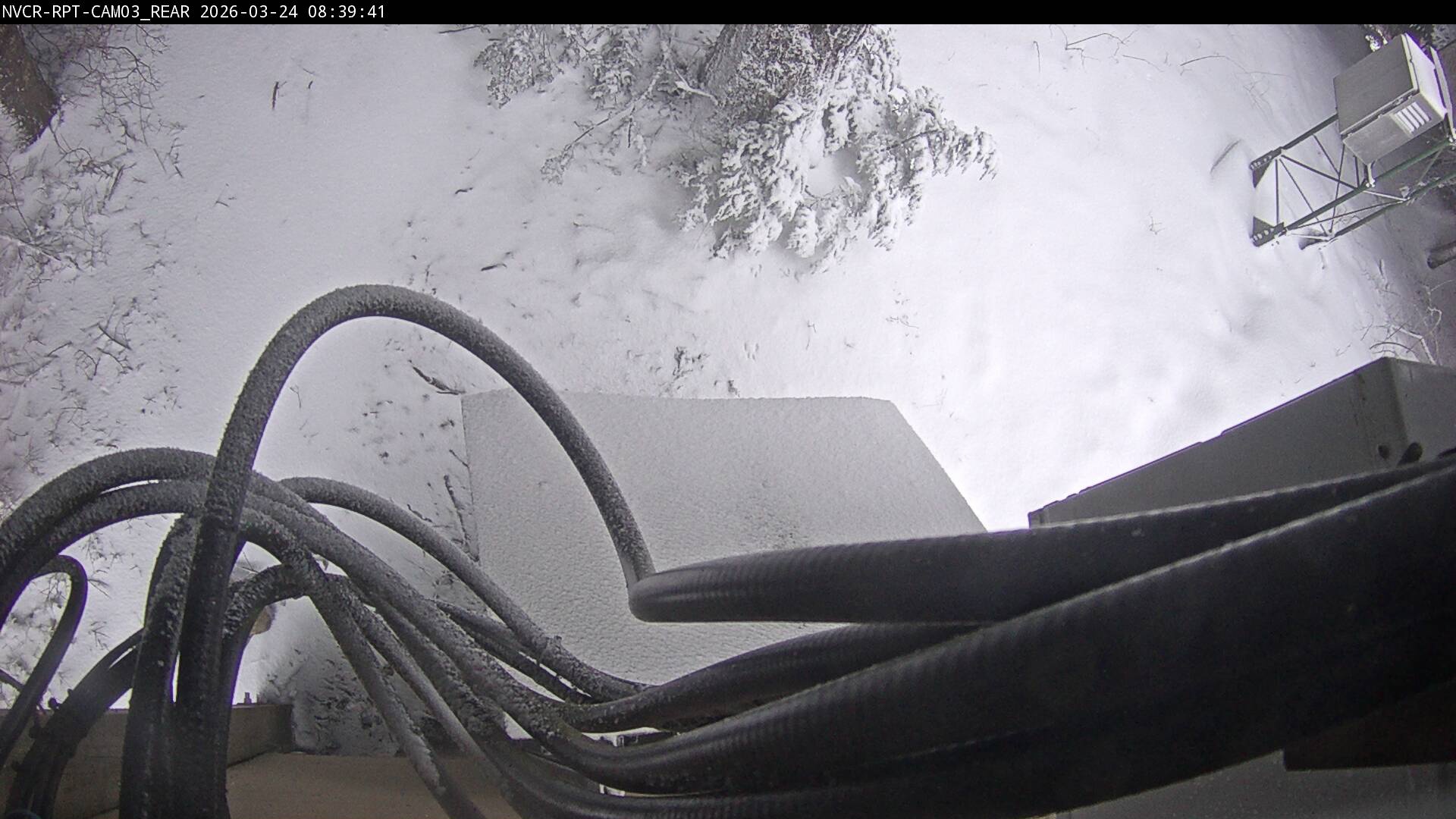 Web Cam History Image - 207