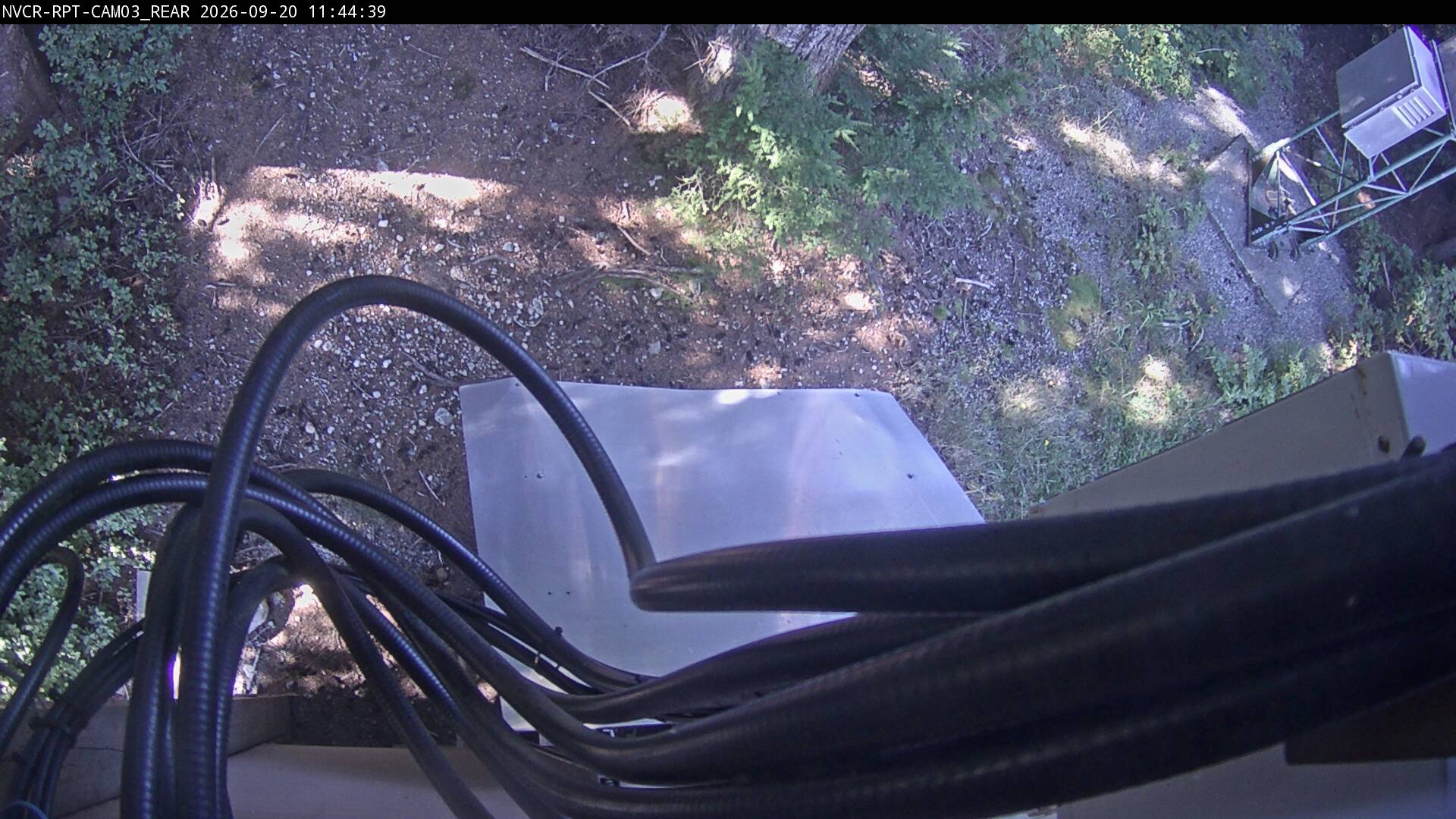 Web Cam History Image - 207
