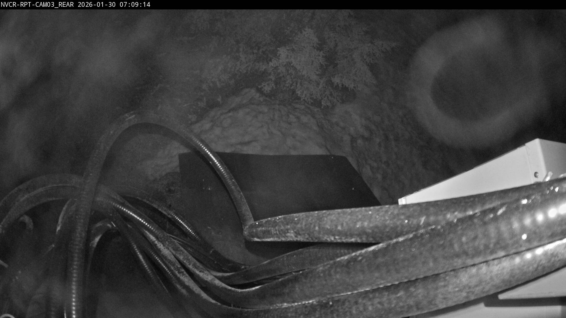 Web Cam History Image - 208