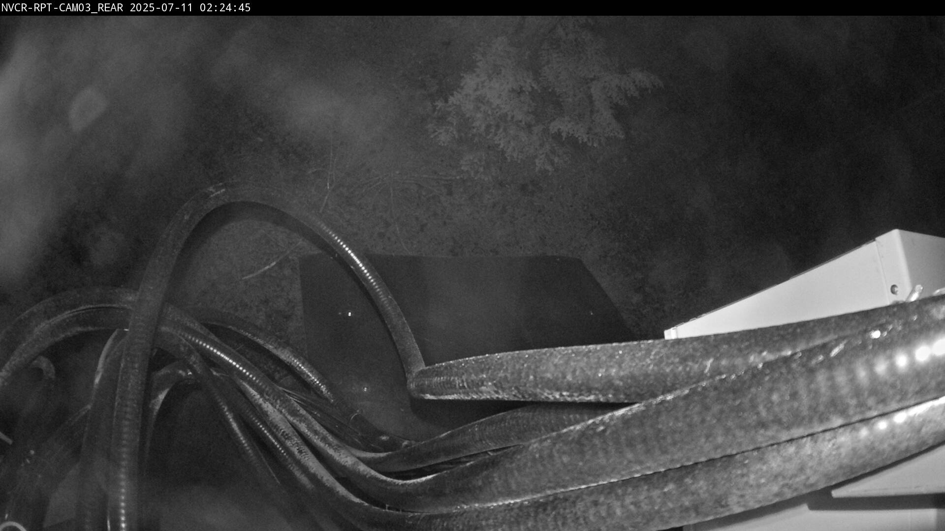 Web Cam History Image - 209