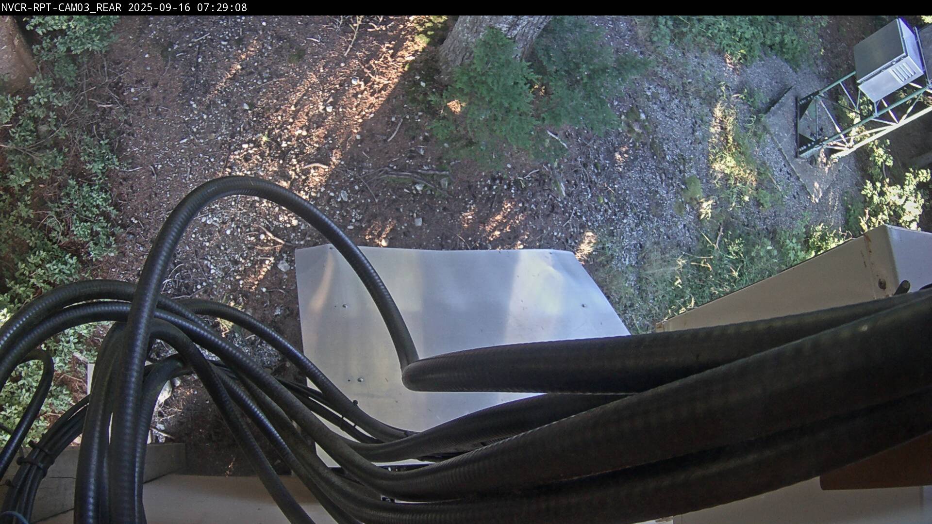 Web Cam History Image - 209