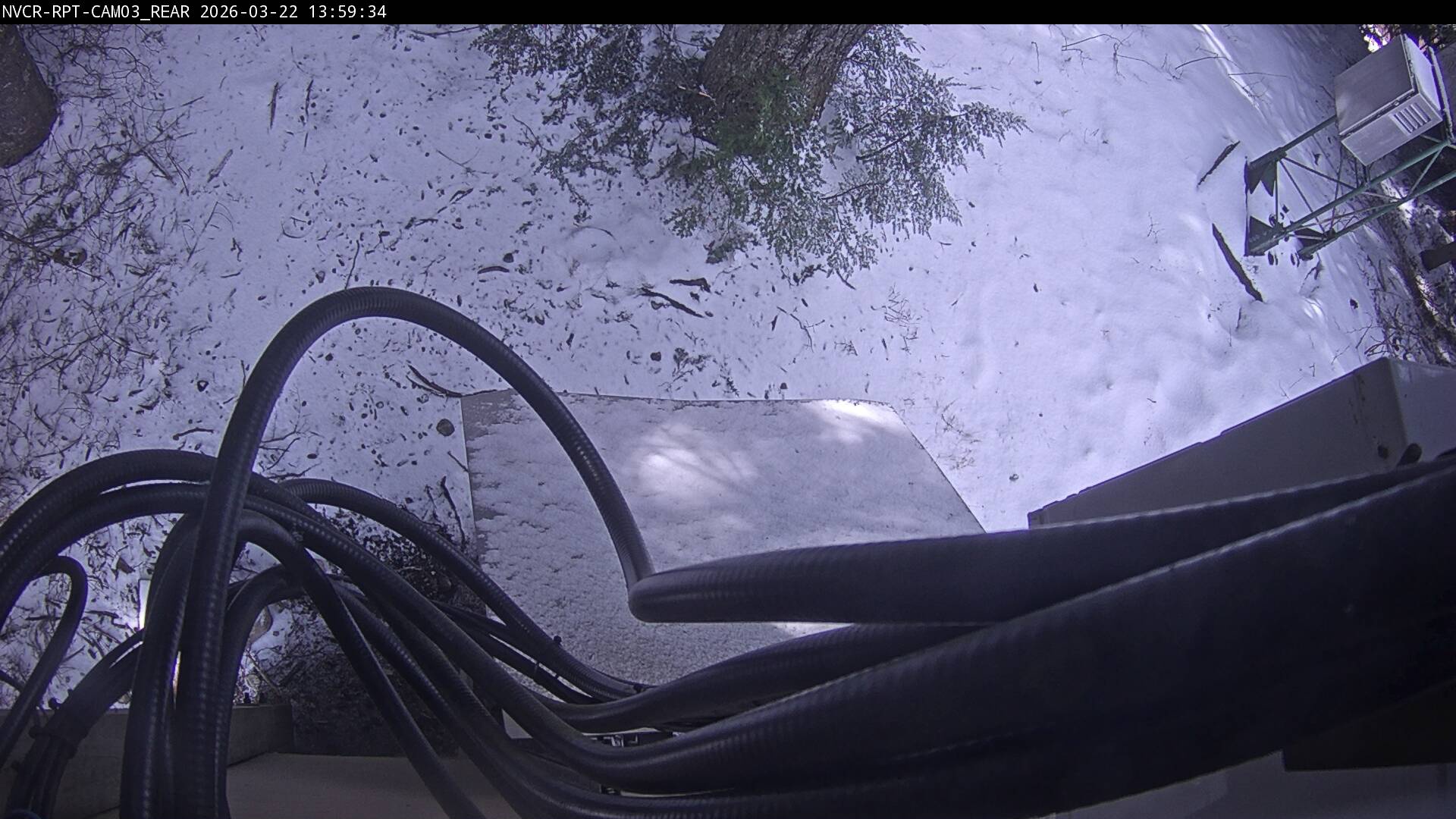 Web Cam History Image - 209