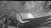 Web Cam Image - Mon, 08/10/2026 7:34pm PDT