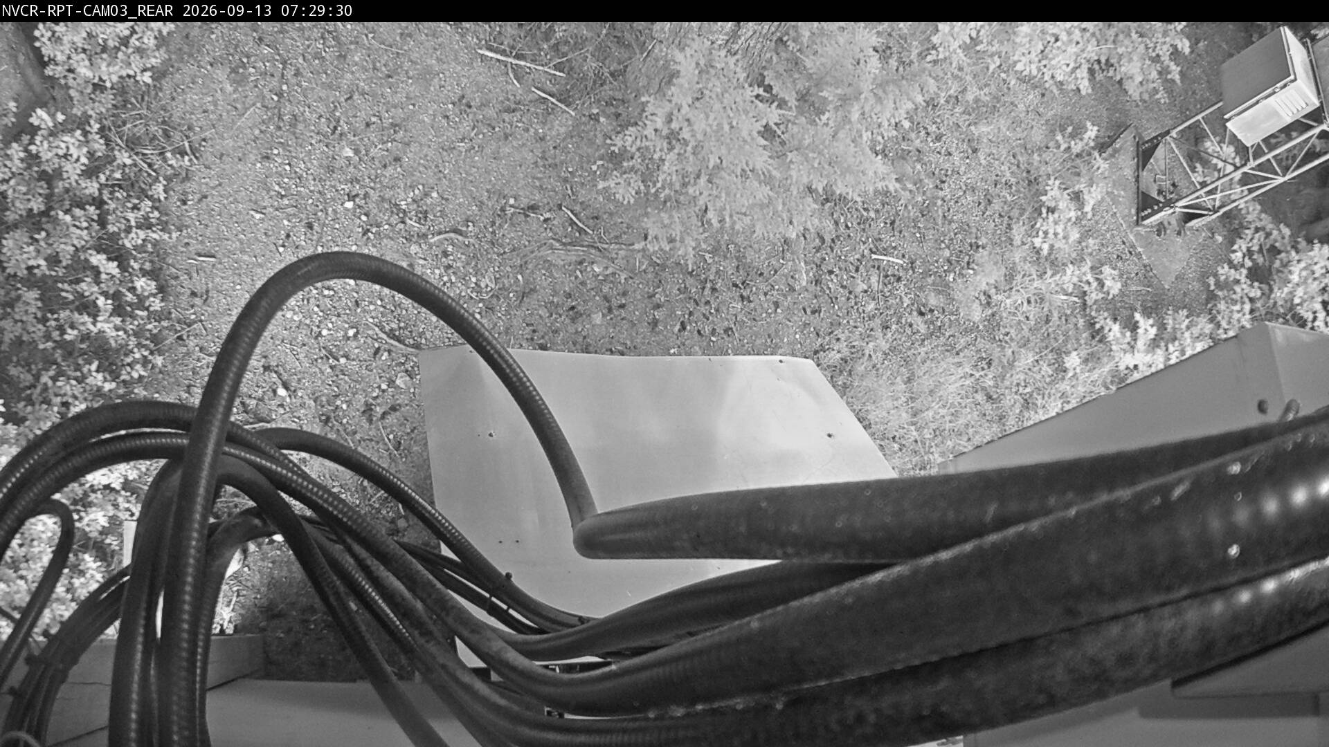 Web Cam History Image - 22