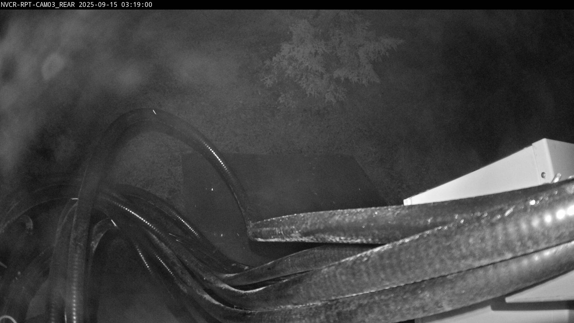 Web Cam History Image - 211