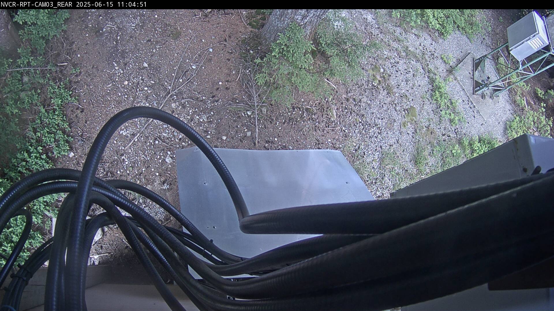 Web Cam History Image - 212