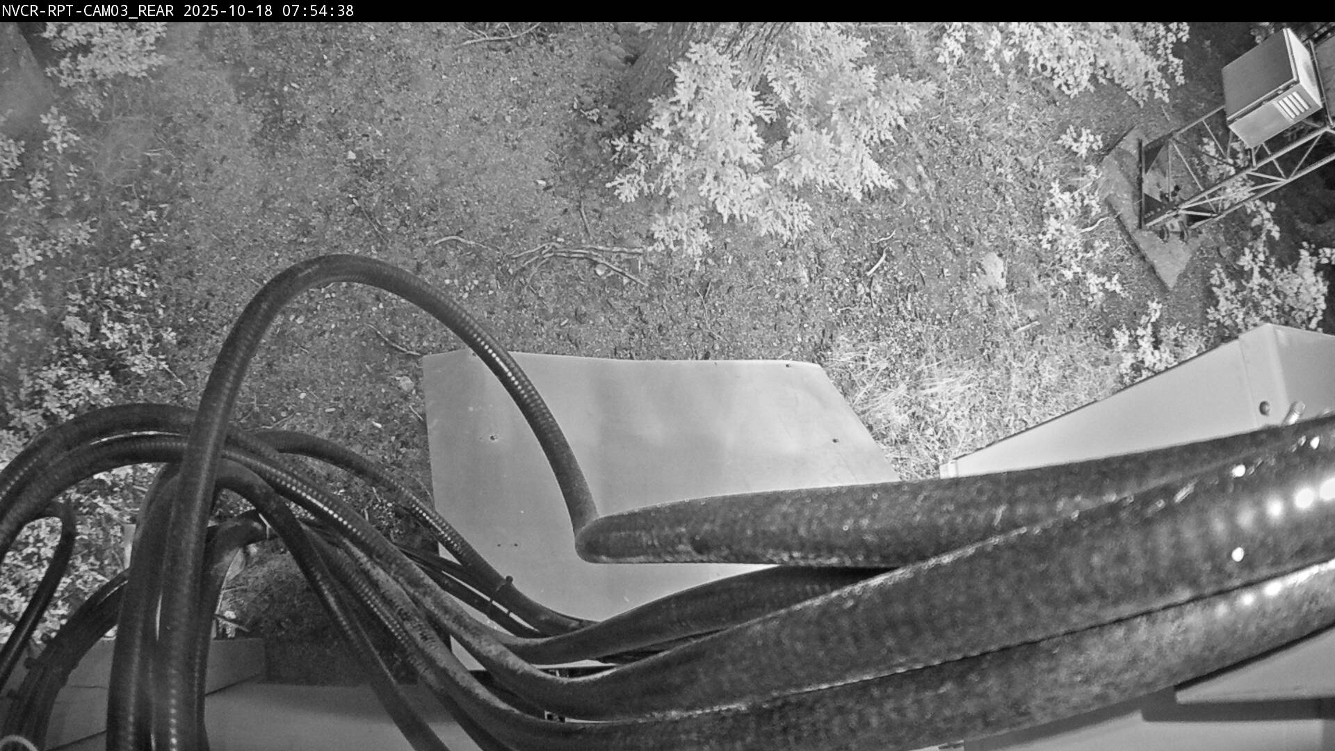 Web Cam History Image - 213