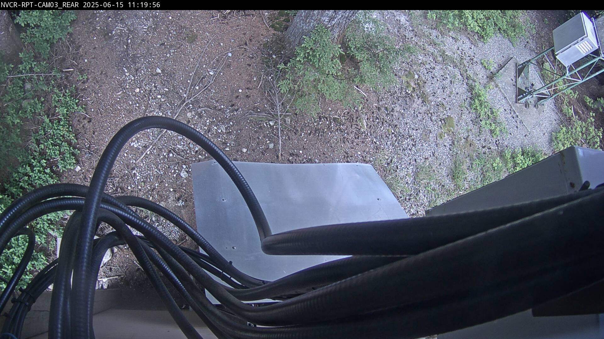 Web Cam History Image - 214