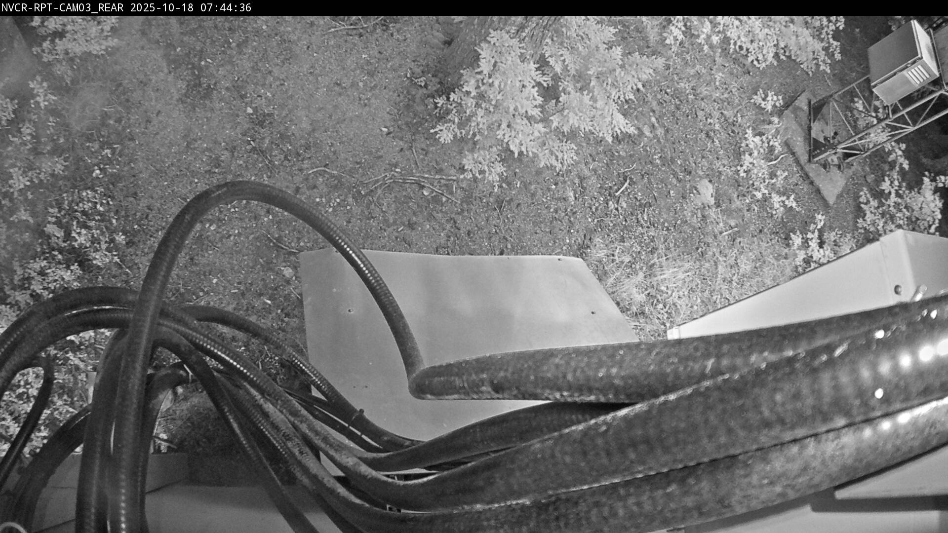 Web Cam History Image - 215