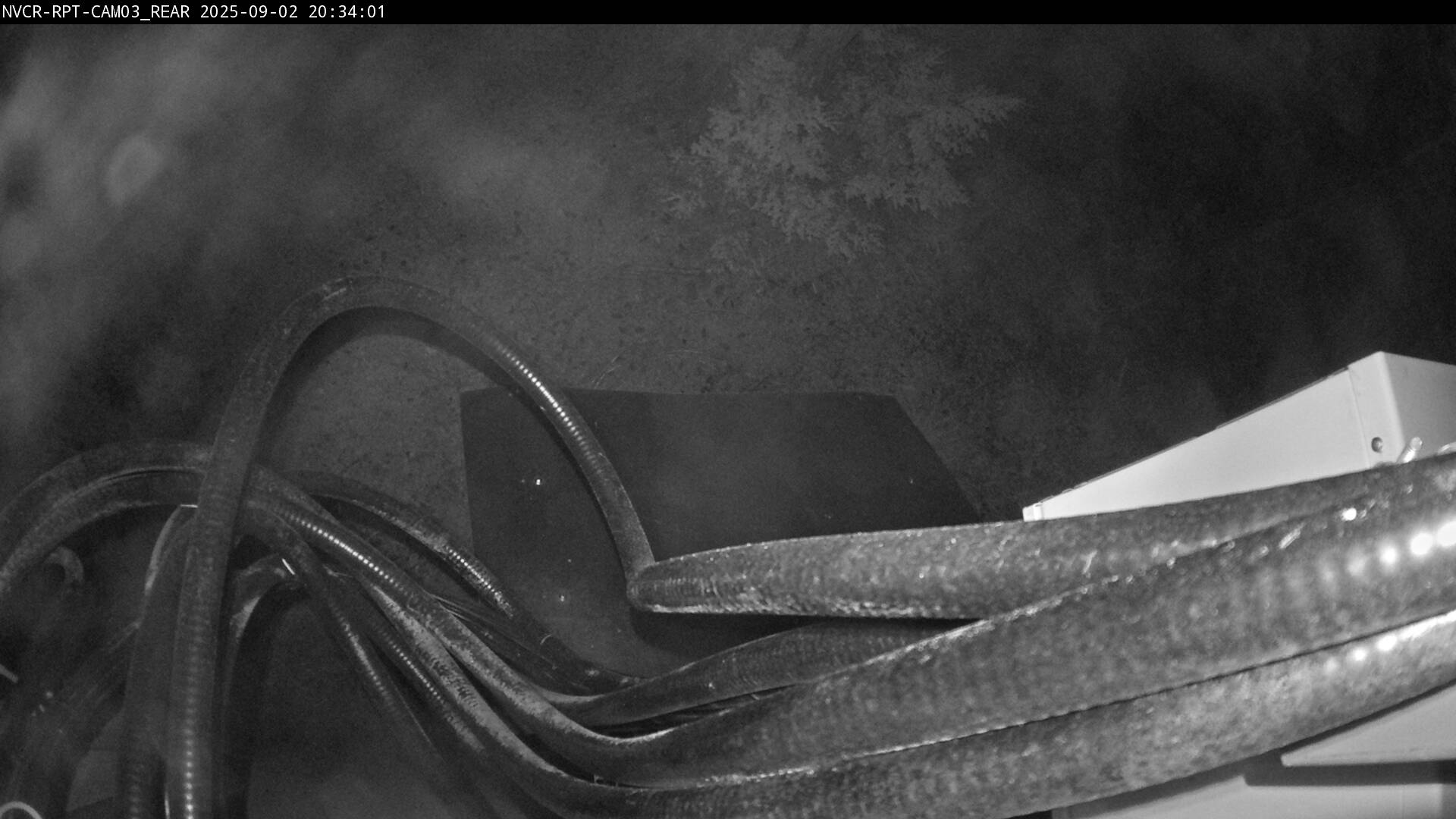 Web Cam History Image - 217