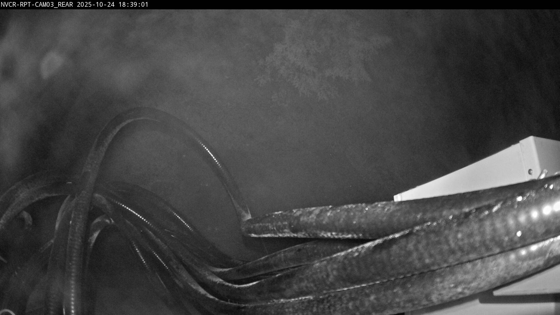 Web Cam History Image - 217
