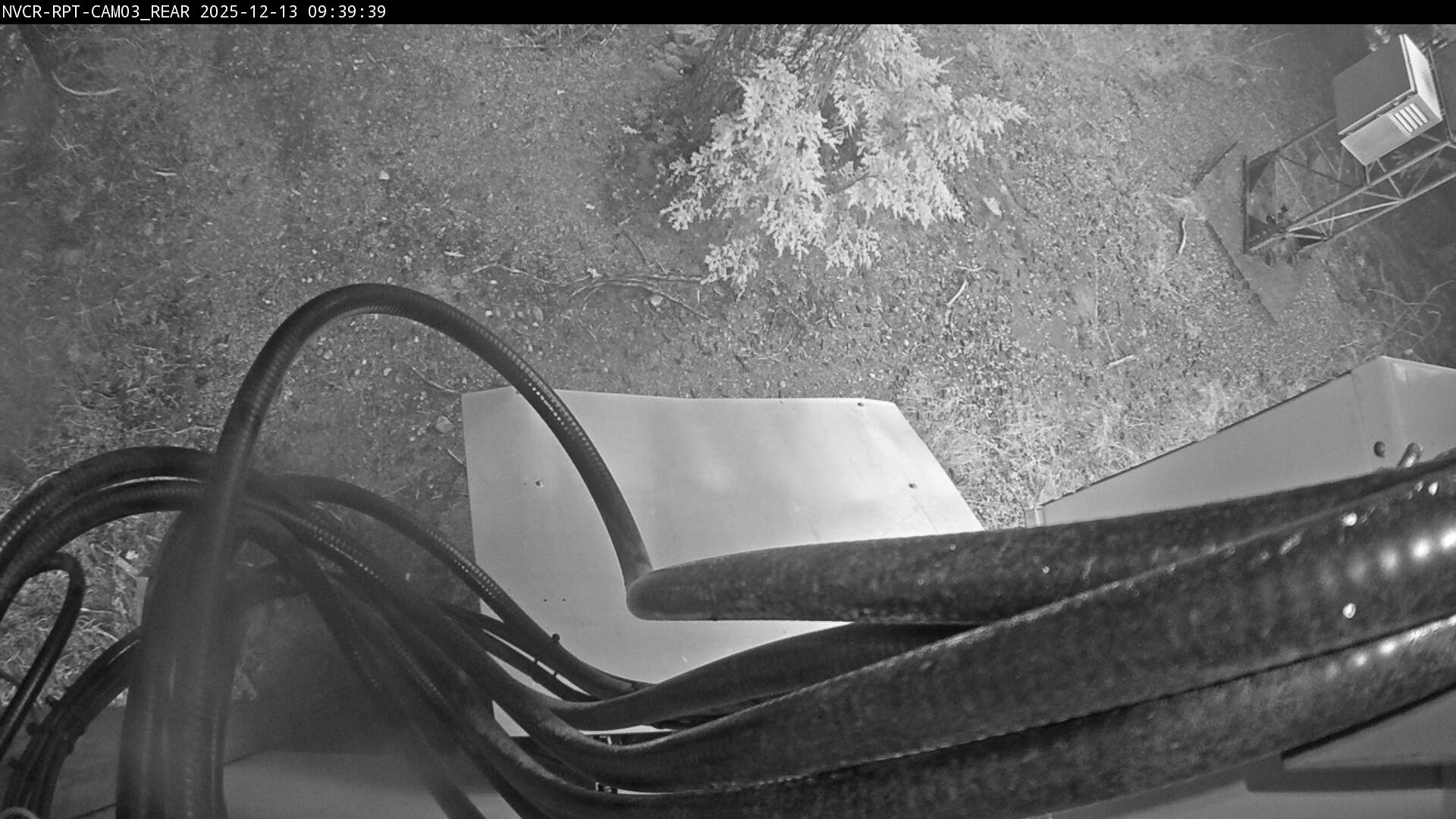 Web Cam History Image - 217