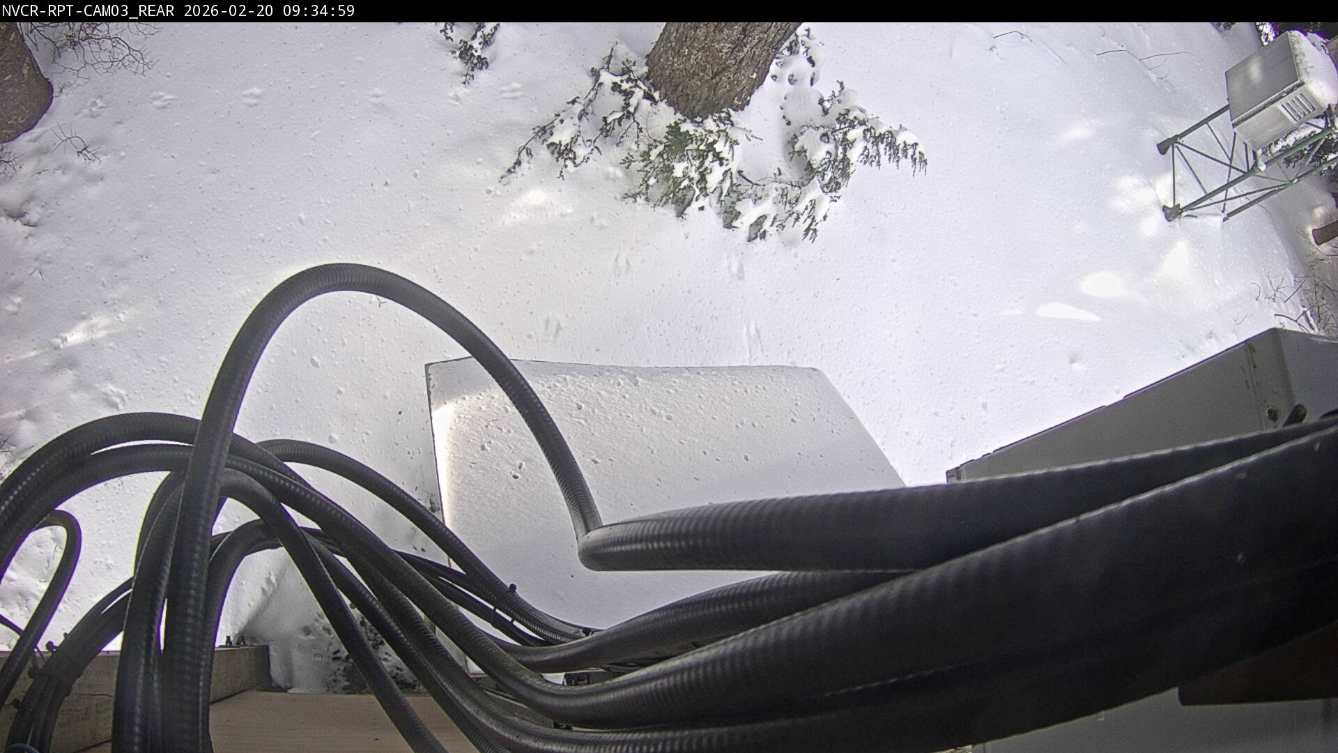 Web Cam History Image - 217