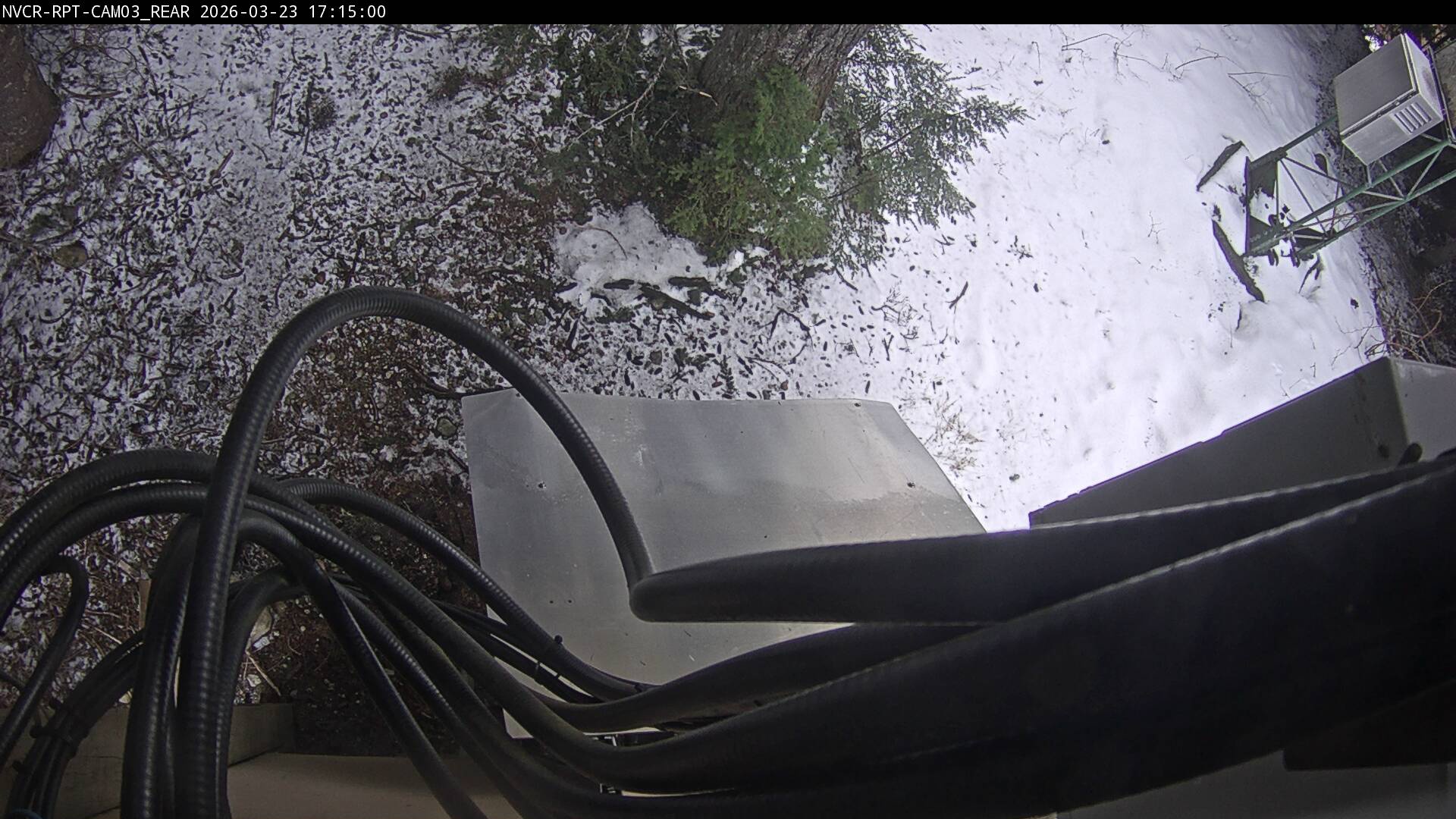 Web Cam History Image - 217