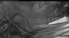 Web Cam Image - Sat, 06/14/2025 8:14pm PDT