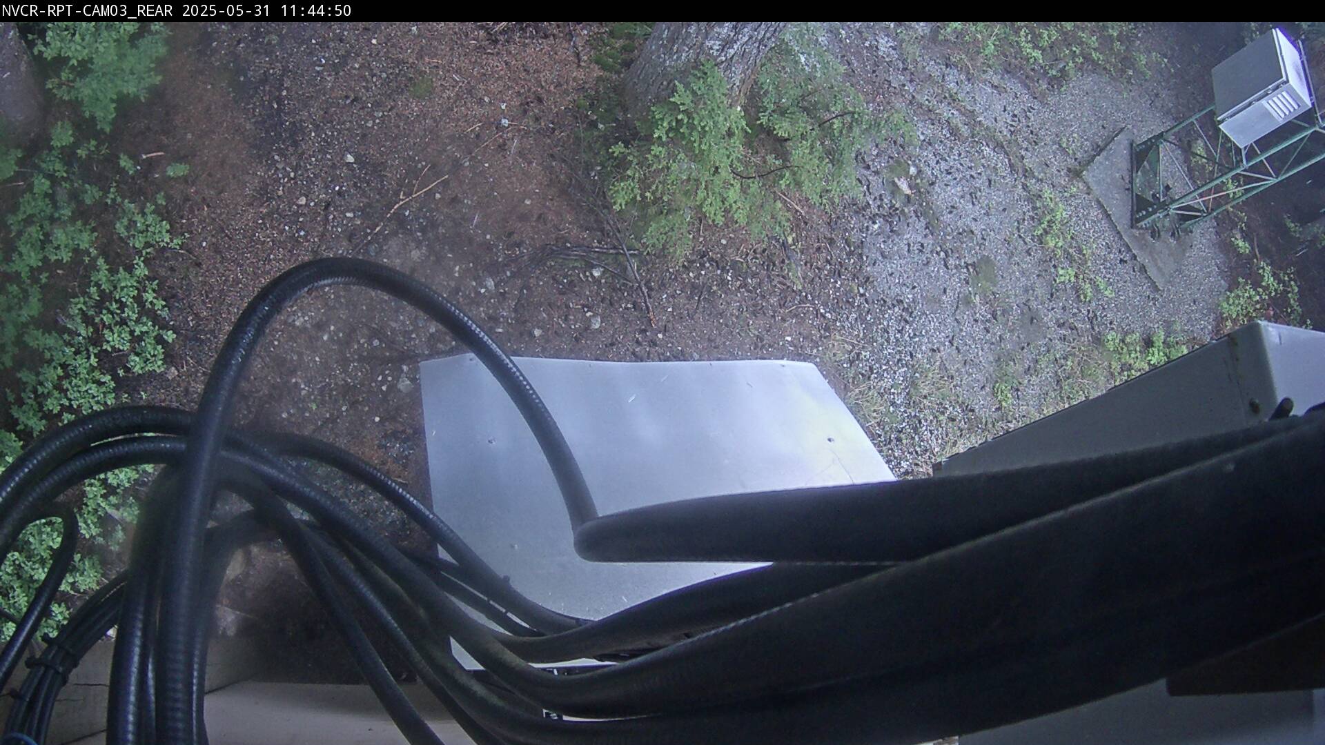 Web Cam History Image - 219