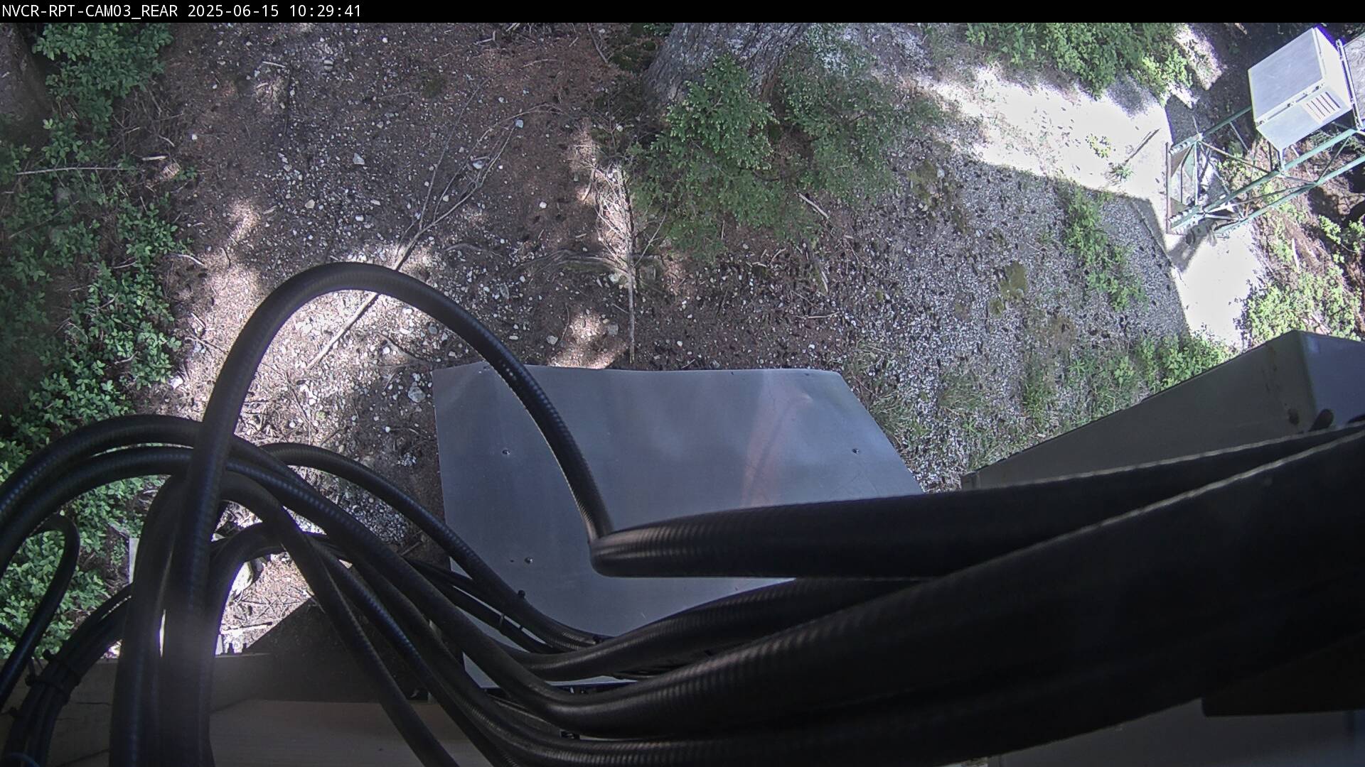 Web Cam History Image - 219