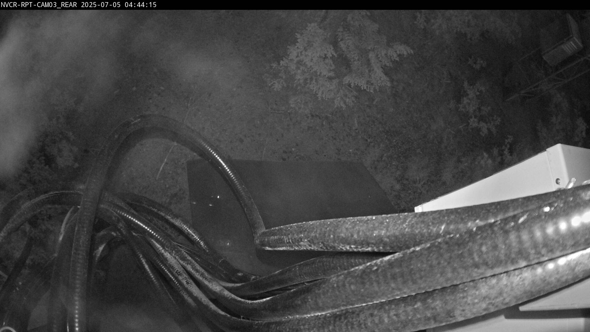 Web Cam History Image - 219