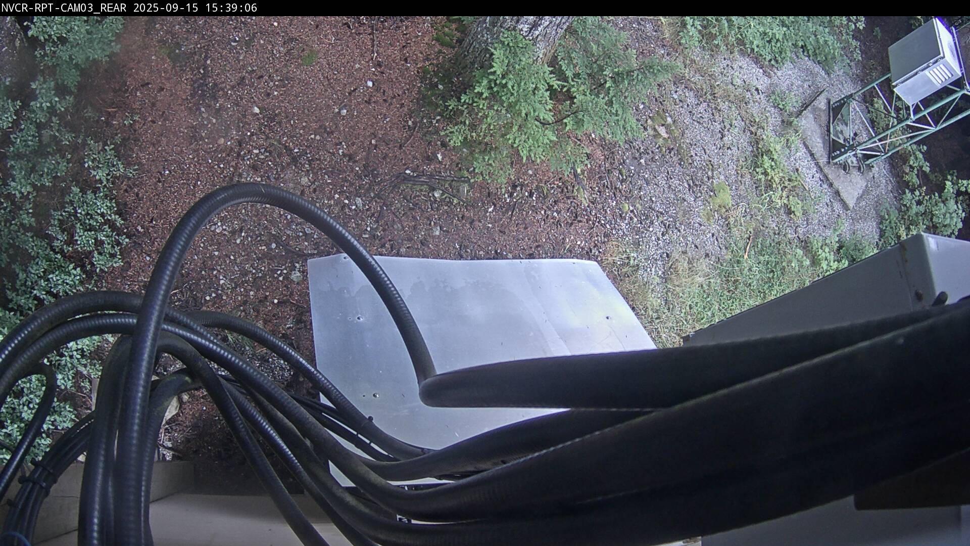 Web Cam History Image - 219