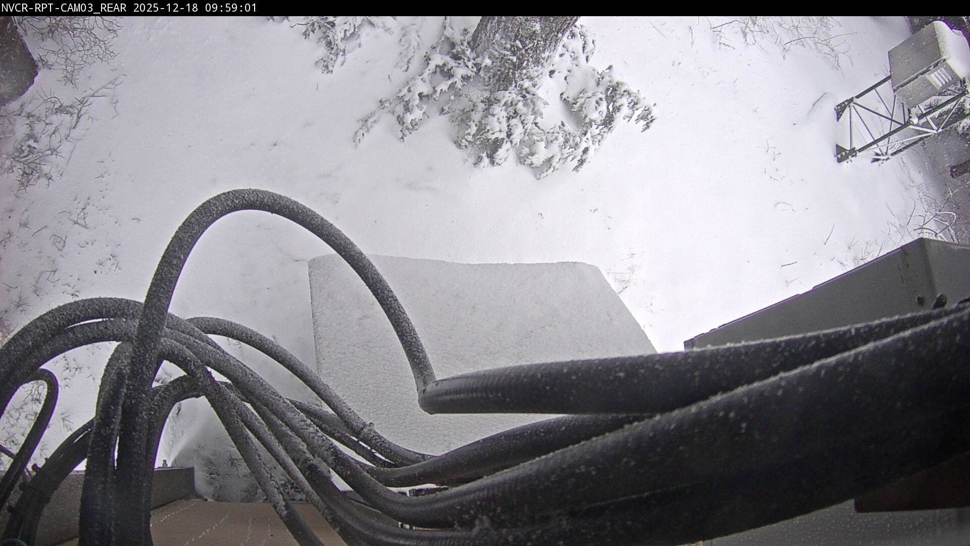 Web Cam History Image - 219