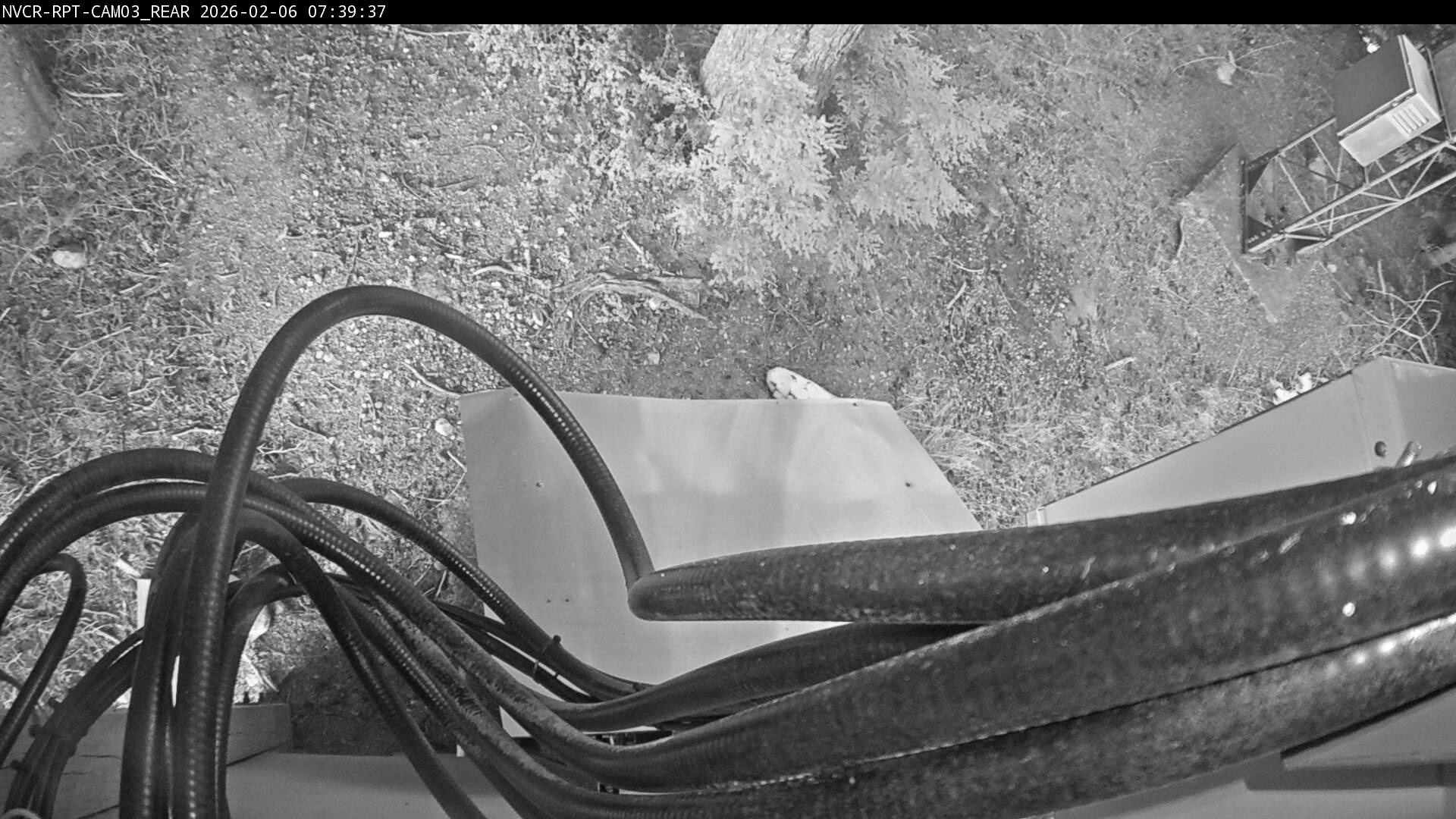 Web Cam History Image - 219