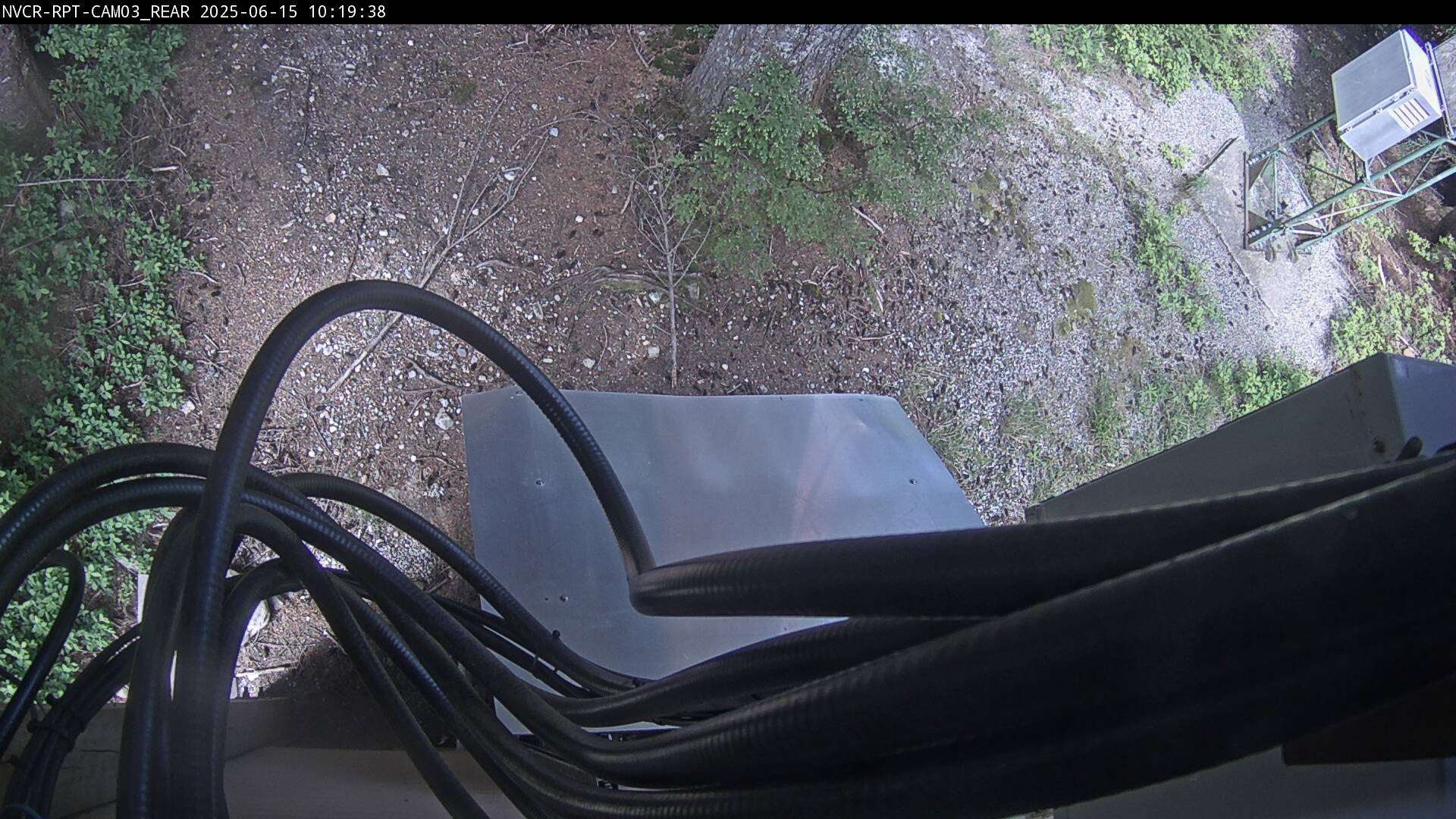 Web Cam History Image - 220