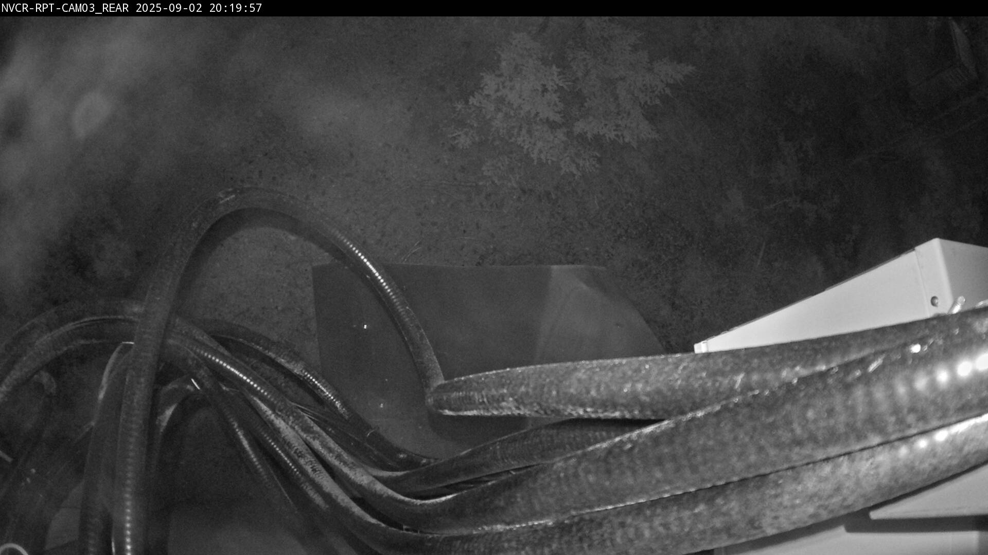Web Cam History Image - 220