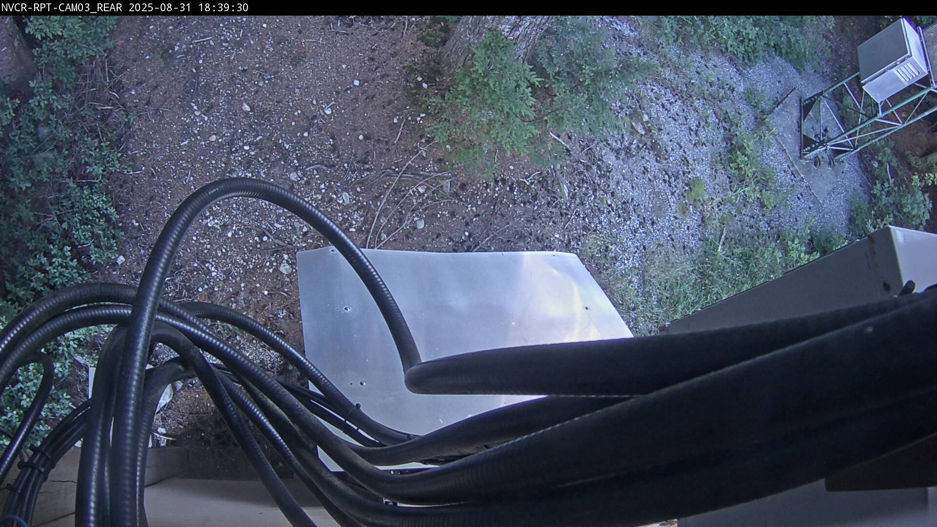 Web Cam History Image - 23