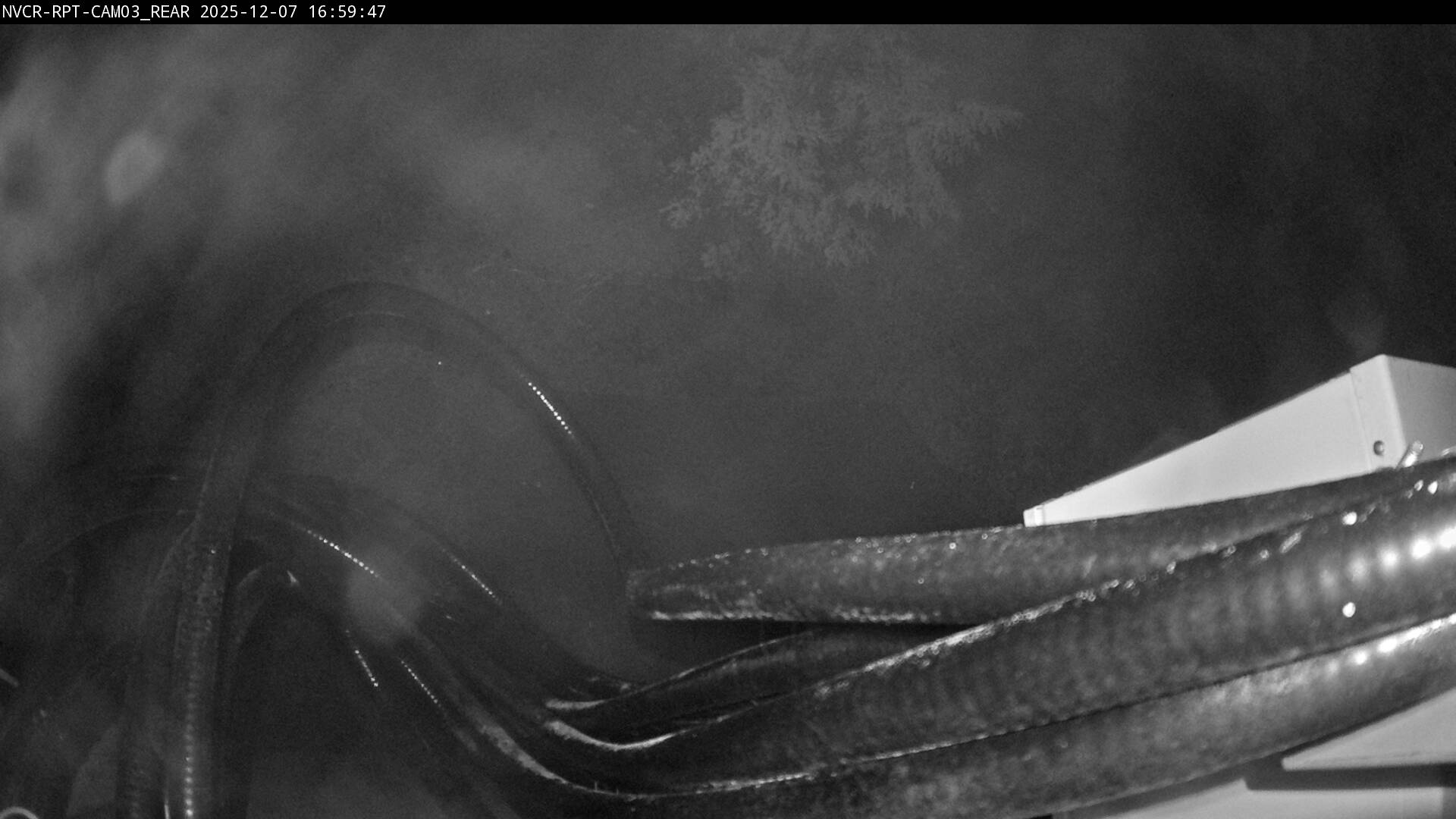 Web Cam History Image - 23