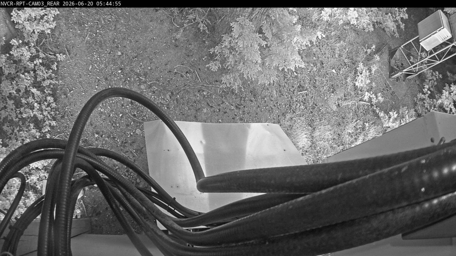 Web Cam History Image - 23