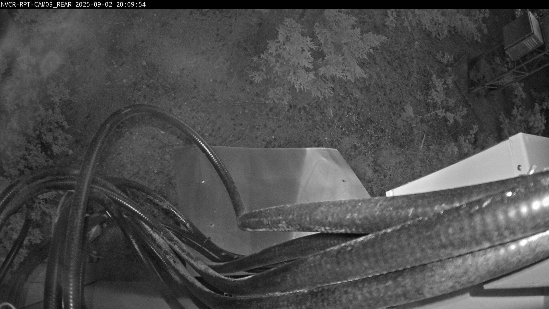 Web Cam History Image - 222