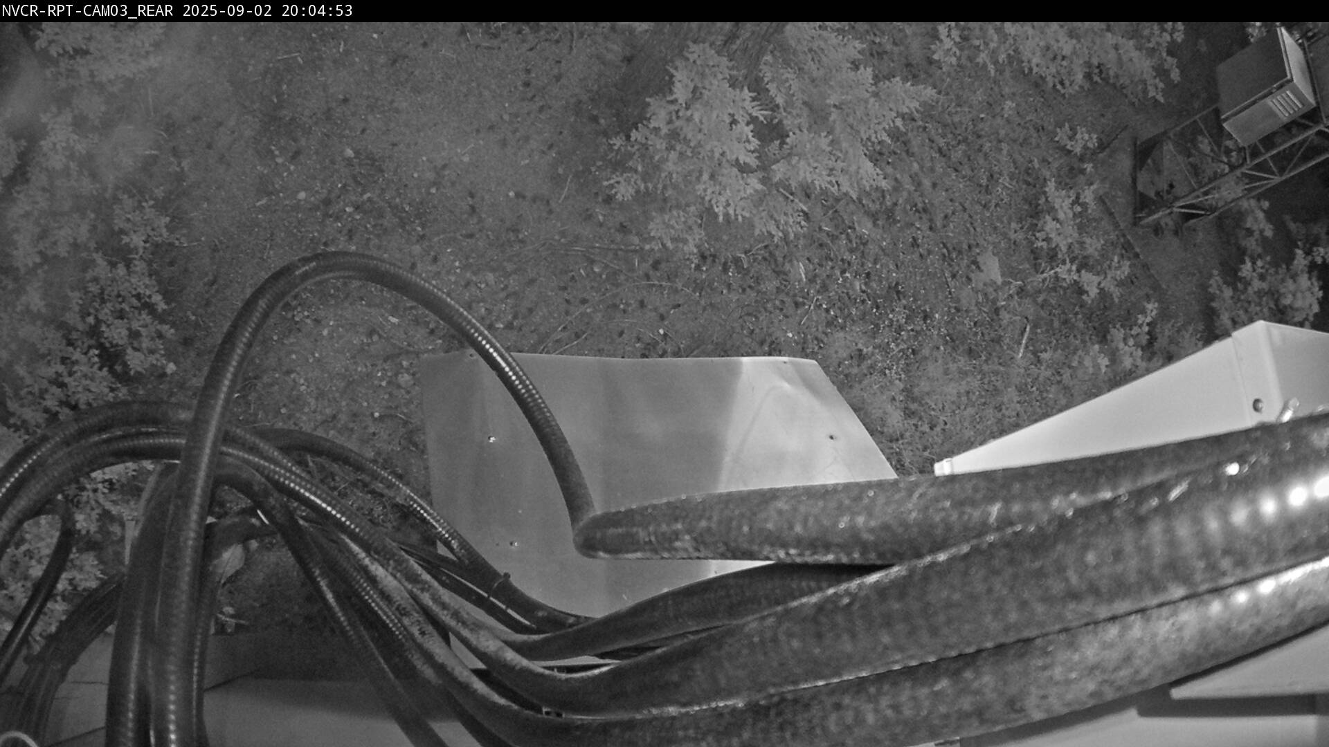 Web Cam History Image - 223