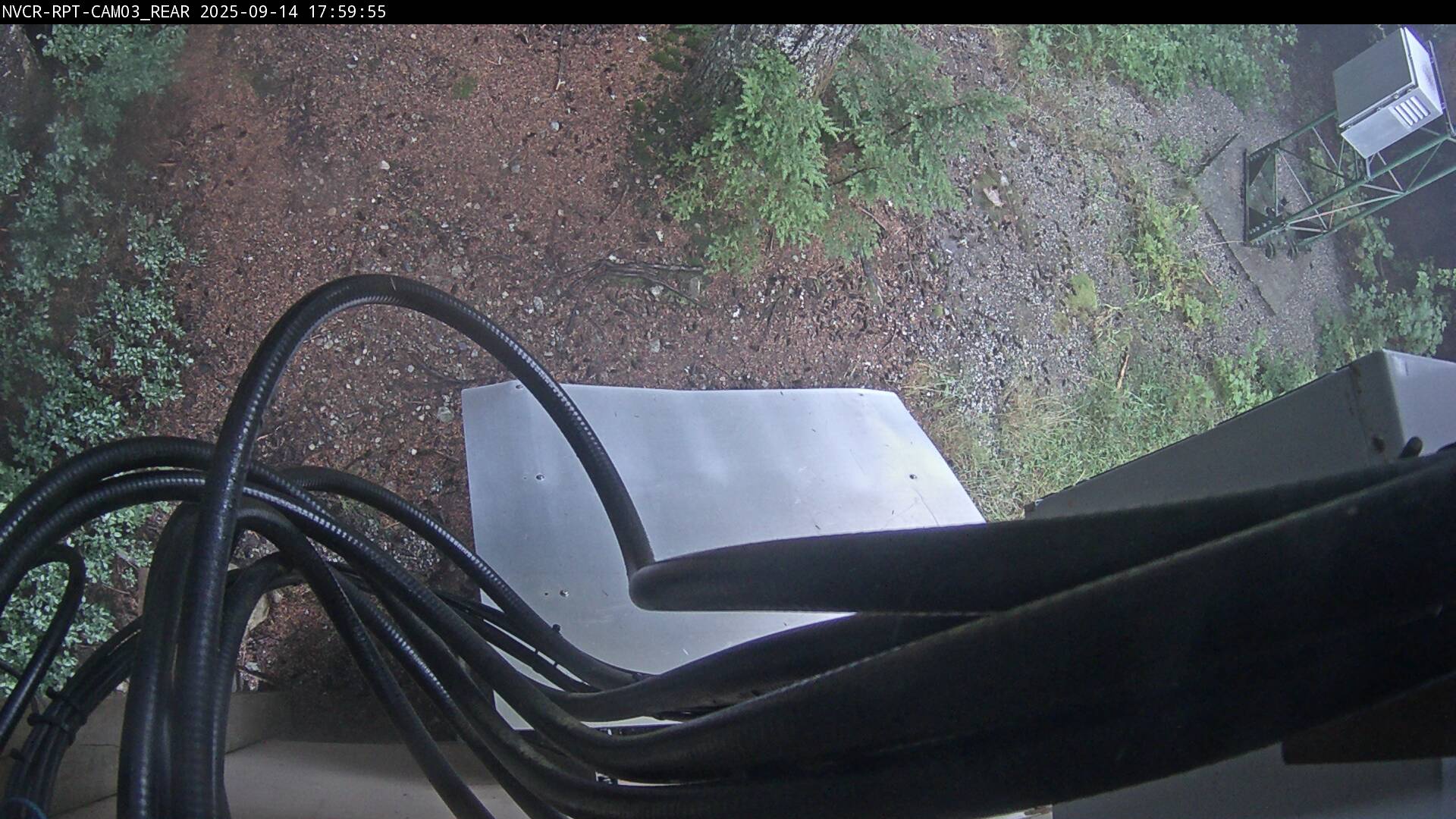 Web Cam History Image - 223